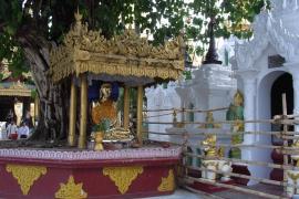 A Buddha shrine at the base of a Bodhi Nyaung tree. ( East of Naungdawgyi Pagoda.)